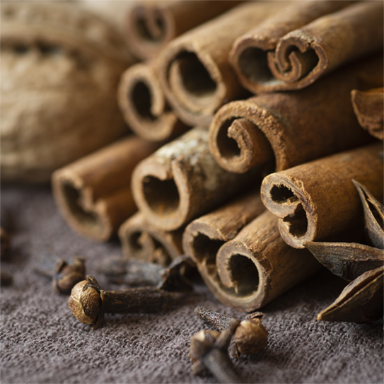 A Hint of Cinnamon Scent