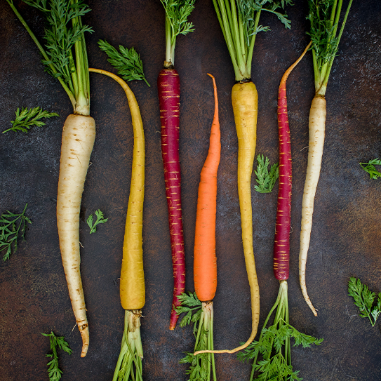 Revitalize Your Skin – Carrot Seed Oil