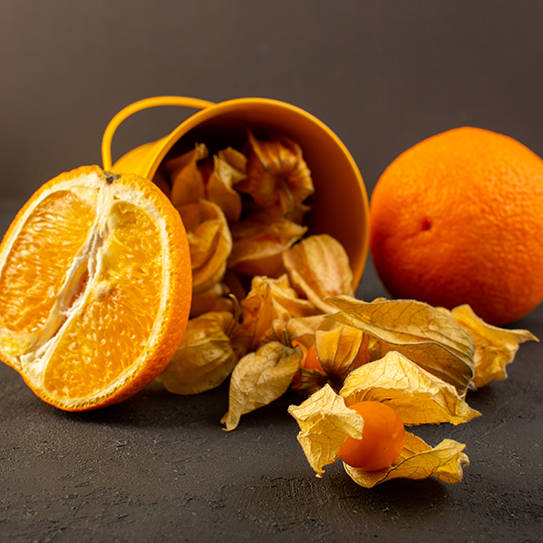 Exploration of Smell